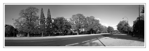 Avenue Foch, Paris